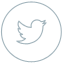 Tweet